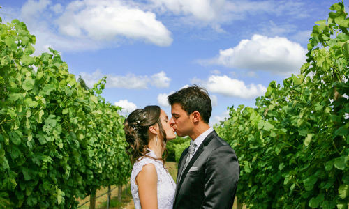 Albuns Vera & André