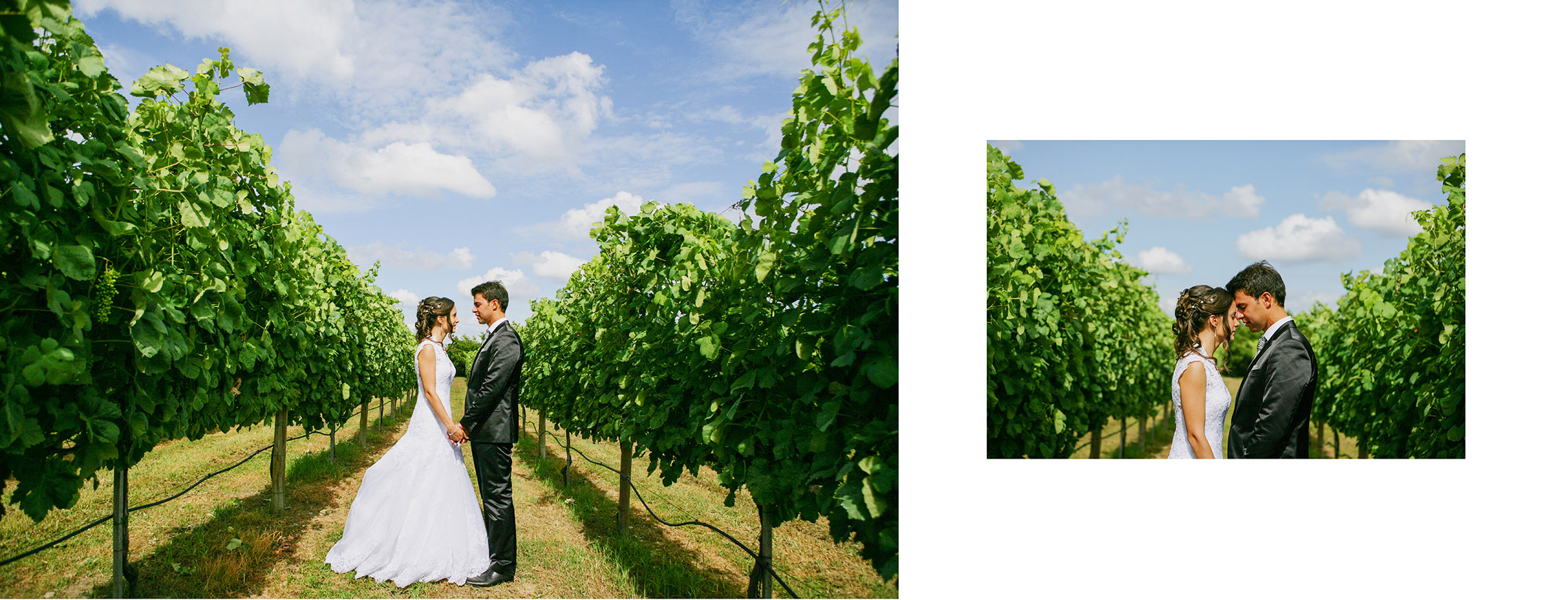 Albuns Vera & André