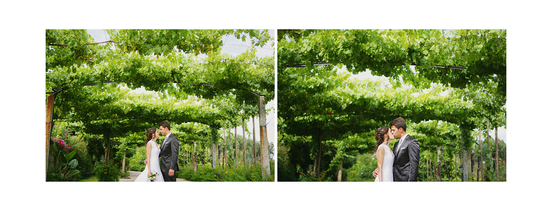 Albuns Vera & André